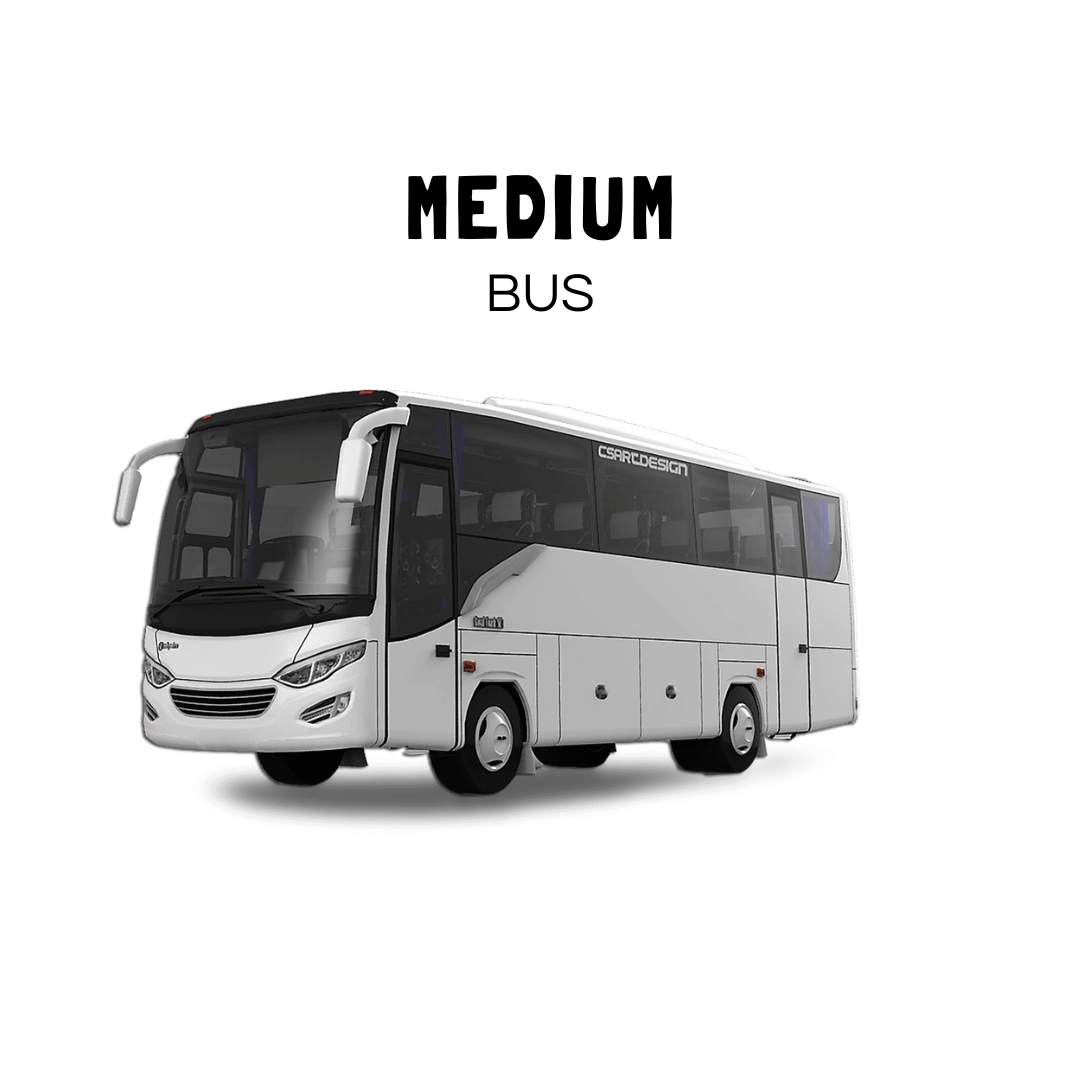 Medium Bus